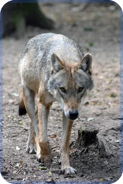 근로자녀장려금신청 마지막 기회 놓치지 마세요