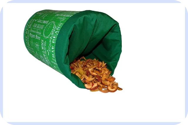 기아자동차주가, 미래 전망은 어떤가