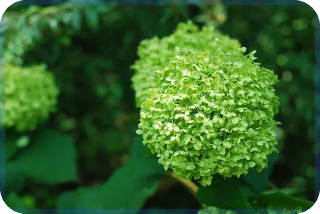 기준금리인상 시나리오 자산시장에 미치는 영향은?