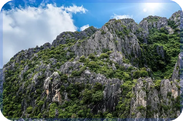 돈버는어플 쌉포인트 사용 후기와 팁은?