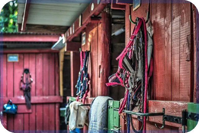 미국우량주와 배당주 무엇이 다를까