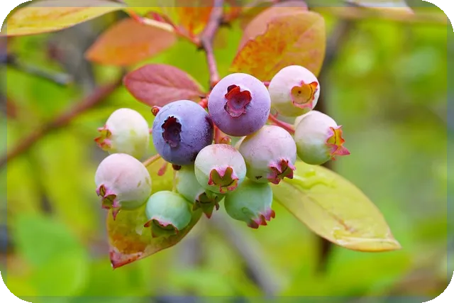 올림픽파크포레온 주택 시장의 미래는?