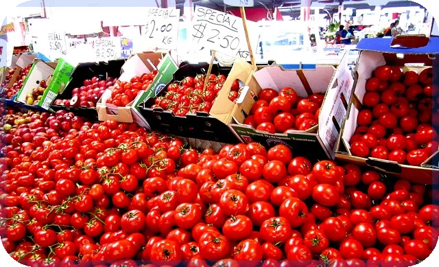 올림픽파크포레온 주택 시장의 미래는?