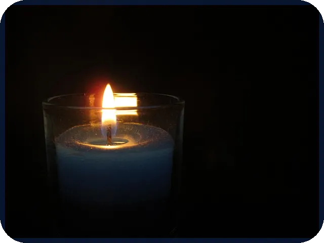 월배당ETF로 안정적 수익 기대할 수 있을까