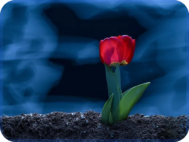 입출금통장개설로 아이돈 재정관리 시작할까