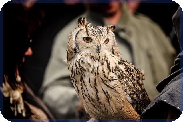 주택청약신청방법 청년과 신혼부부의 필수 가이드