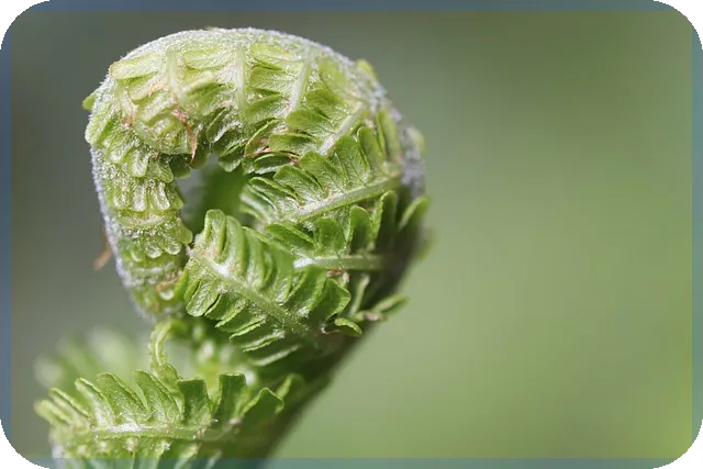 주택청약신청방법 청년과 신혼부부의 필수 가이드