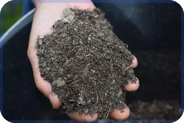 탄소중립 대장주 9종목 분석과 전망