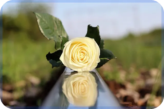 4차국가철도망 핵심 노선과 지역 균형 발전 전략은 무엇인가