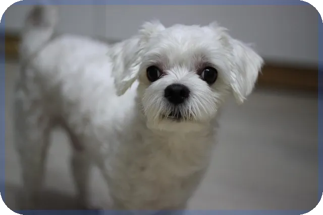 4차국가철도망 핵심 노선과 지역 균형 발전 전략은 무엇인가