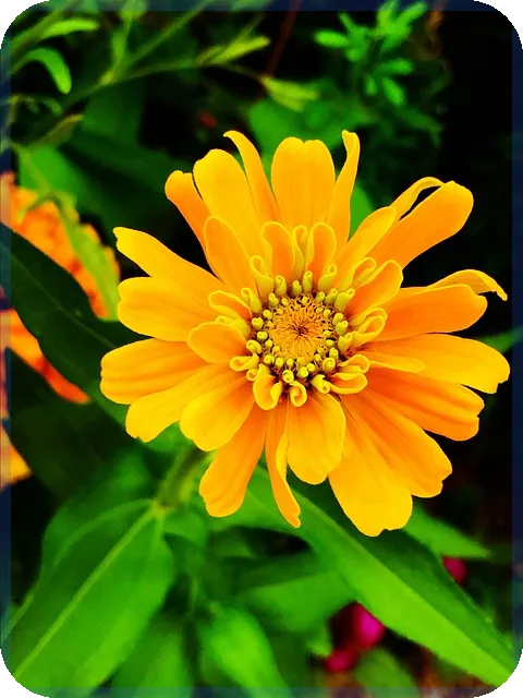 BNK금융지주주가 전망과 배당 매력 분석