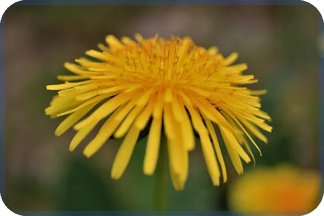 OEM 생산 방식 선택 전략과 차별화 방법