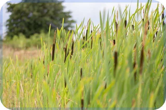 국민임대아파트보증금대출 거절 이유는?