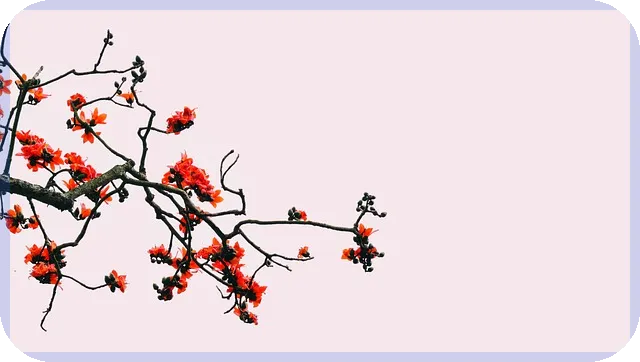 근로장려금적금 2025 최고의 금리 혜택 비교분석