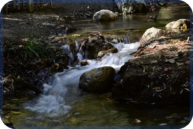 근로장려금적금 2025 최고의 금리 혜택 비교분석