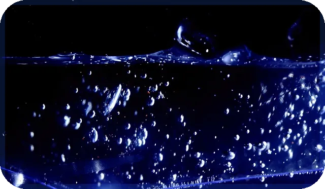 동백전사용방법 전면 정리와 가맹점 신청 꿀팁