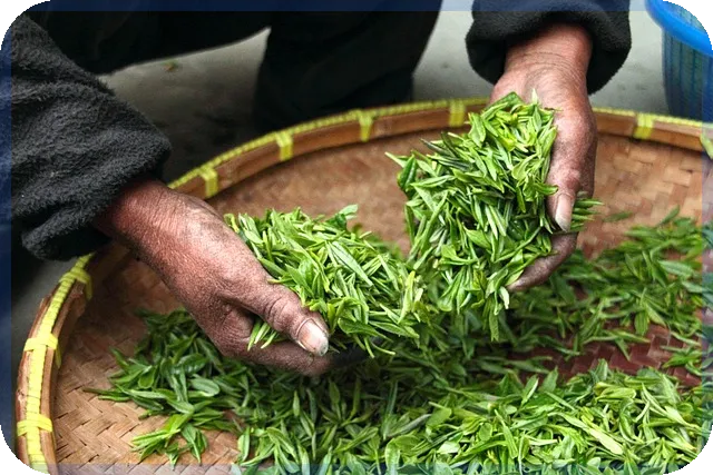 동백전사용방법 전면 정리와 가맹점 신청 꿀팁