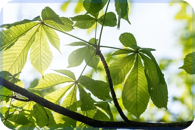 동백전사용방법 전면 정리와 가맹점 신청 꿀팁