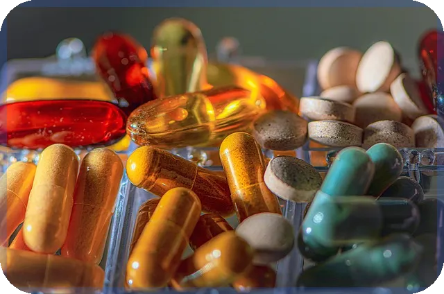 동백전사용방법 전면 정리와 가맹점 신청 꿀팁