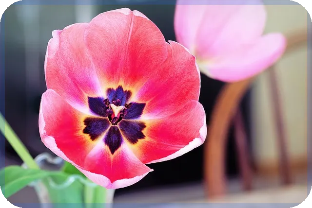 동탄지식산업센터 투자 성공 전략과 장소 선정 방법