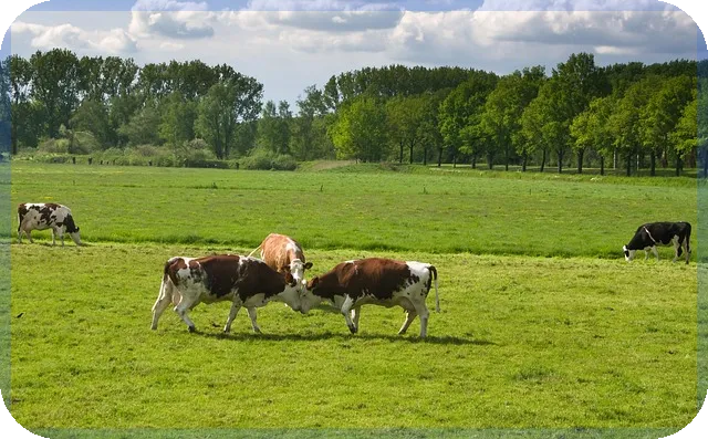 부동산명도소송 성공 전략과 사례 분석
