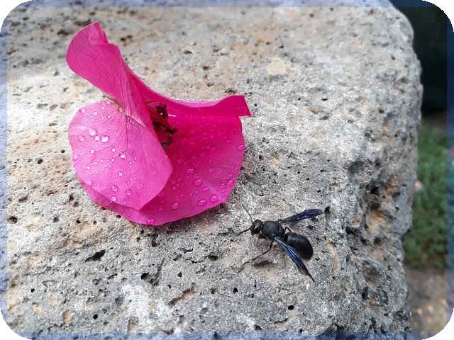 부동산명도소송 성공 전략과 사례 분석