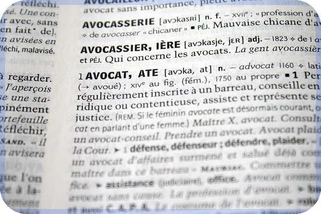 부동산명도소송 성공 전략과 사례 분석