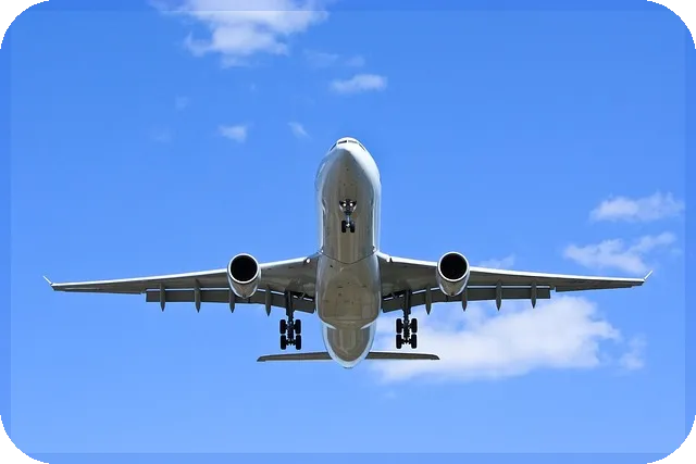 부동산명도소송 성공 전략과 사례 분석