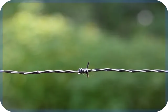 사모펀드 고수익 가능성 확인했나요