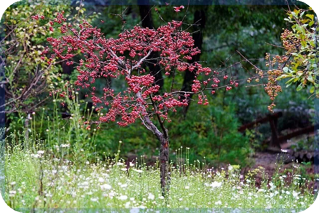 성장관리권역 투자 전략 증가하는 가치 어디에 주목해야 할까