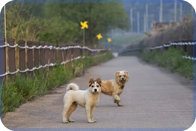 세대분리방법으로 세금과 복지 혜택 최적화하기