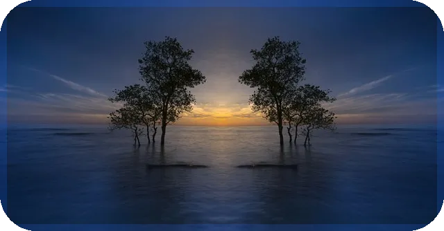 세운푸르지오그래비티 매매 가이드 최신 정보