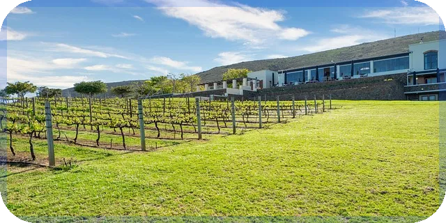 실물자산 인플레이션 헤지 전략으로 떠오르다