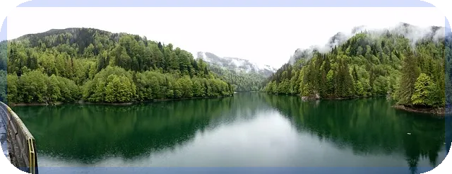 에브리봇주가 전망과 성장 동력 분석