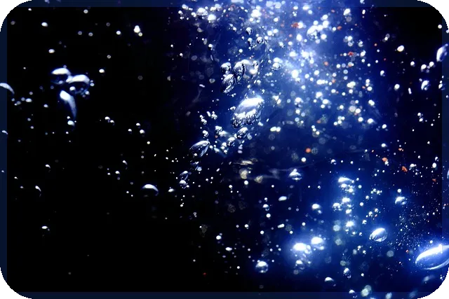 에브리봇주가 전망과 성장 동력 분석