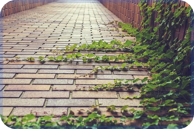 에이치엘비주가 전망과 투자 전략 분석