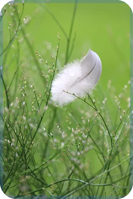 예금담보대출 모바일 신청 방법과 혜택 알아보기
