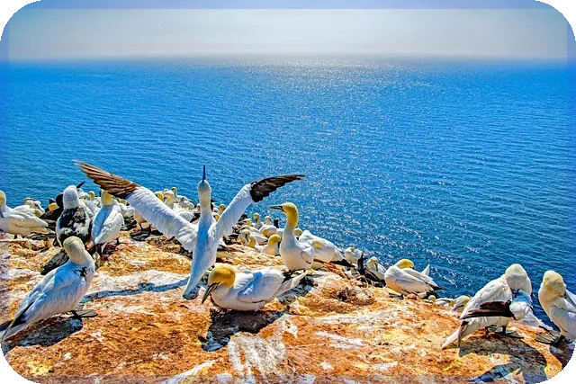 테크윙주가 급등 이유와 전망 분석