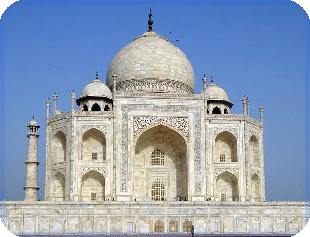 옥시덴탈주가 전망과 탄소포집 기술 성장 예상