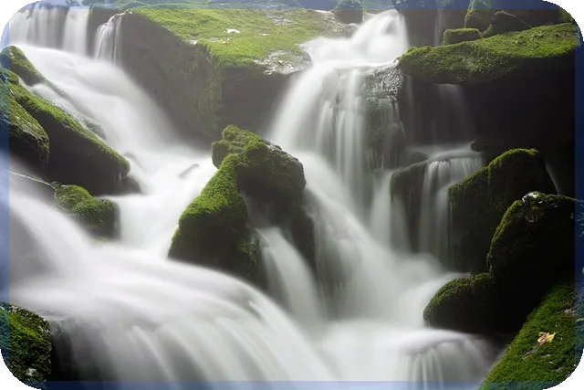 옥시덴탈주가 전망과 탄소포집 기술 성장 예상