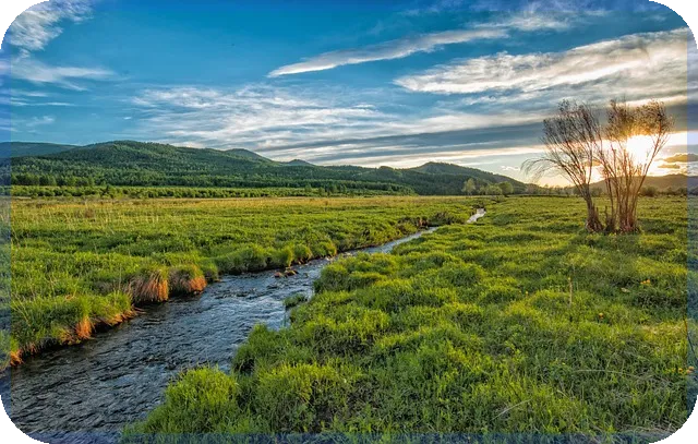 옥시덴탈주가 전망과 탄소포집 기술 성장 예상