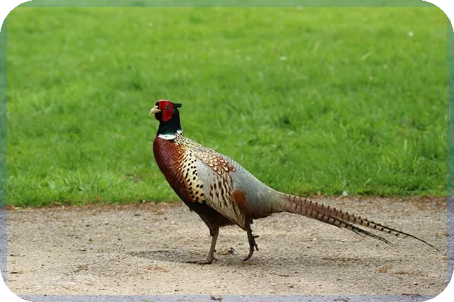 자산운용사 설립 필수 요건 총정리