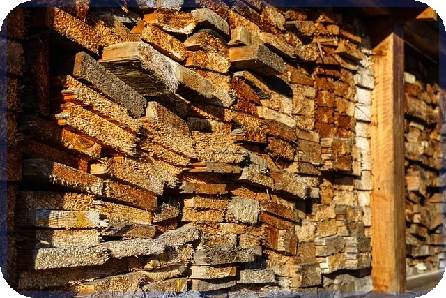 제이시스메디칼주가 반등 전망 분석 기대주인가