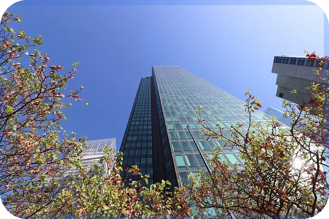 제이시스메디칼주가 반등 전망 분석 기대주인가