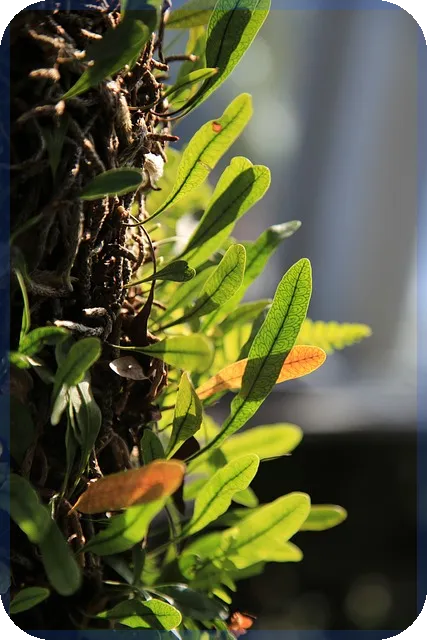 제일약품주가 상승 원인과 미래 전망 분석