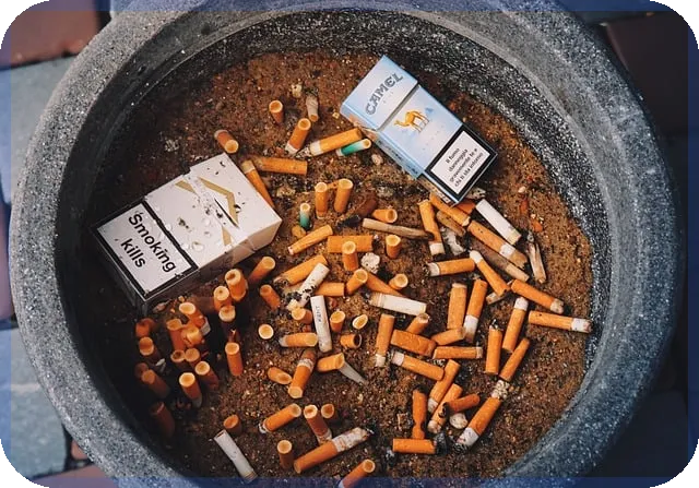 주식방송으로 보는 연예인 투자 이야기 궁금점 해소