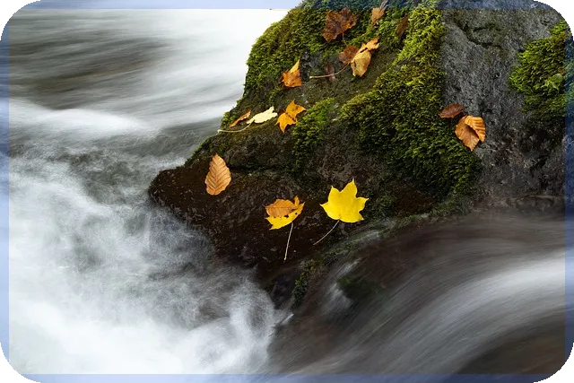 중산층기준과 연봉 재산 평균소득은 무엇일까