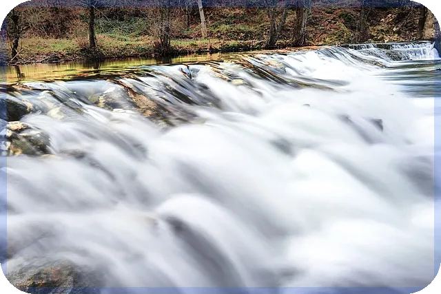 지노믹트리주가 시장 전망과 핵심 기술 분석