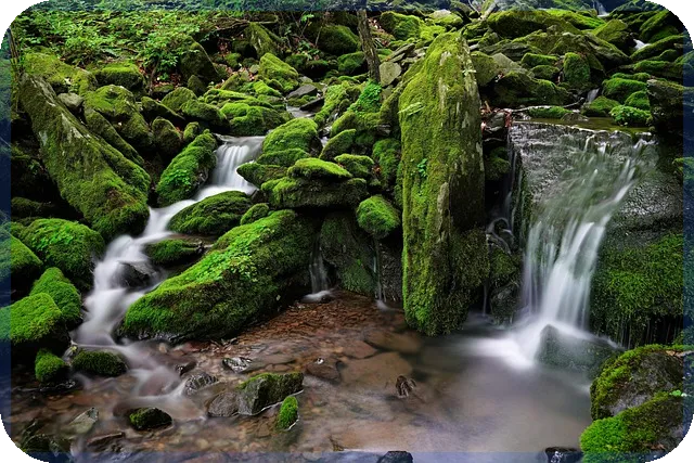 착한임대인신청으로 세금혜택 받는 방법 알아보기