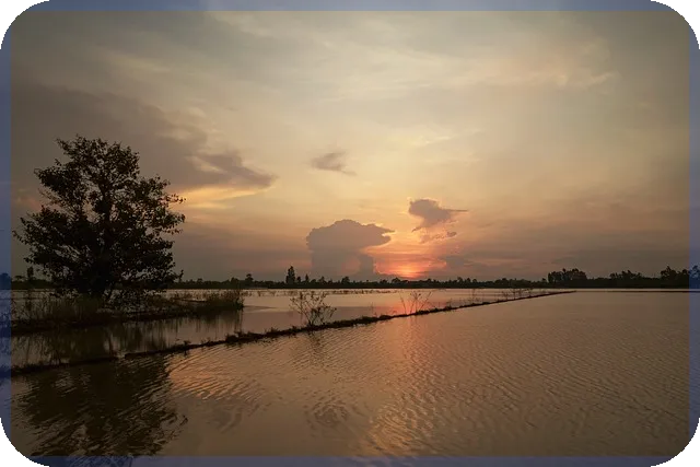 착한임대인신청으로 세금혜택 받는 방법 알아보기